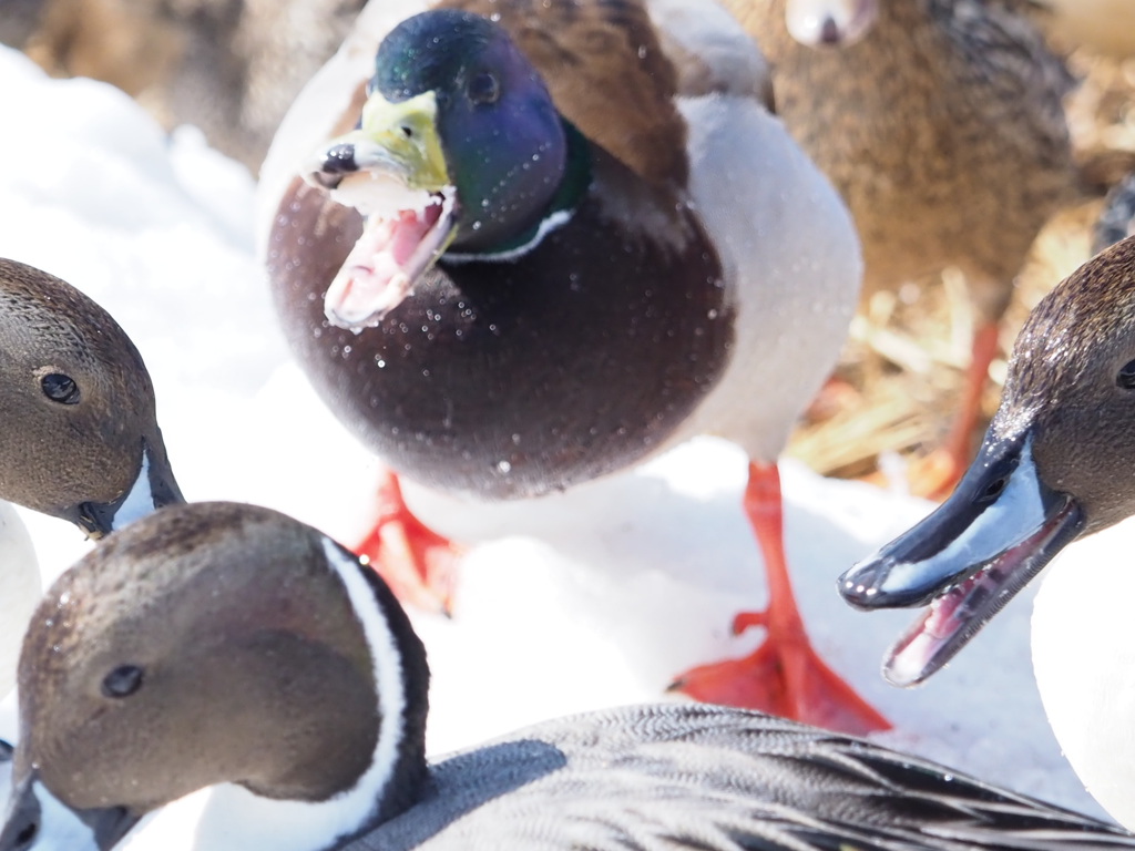 ま～そんなに怒らないで！