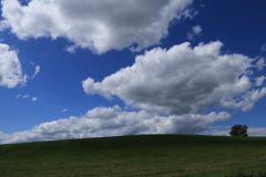 撮りまくりです！