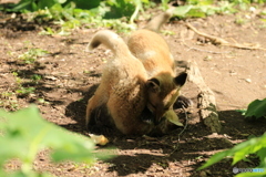 大きくなれよ！