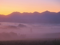 上富良野