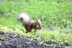 見っけ見っけ❗