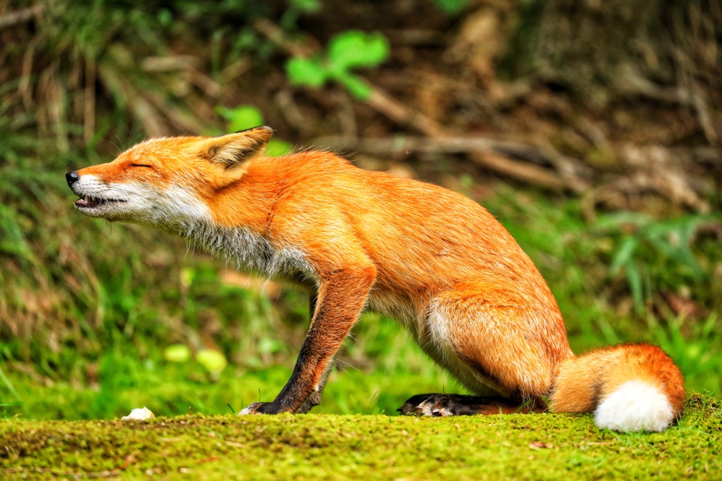 ｵｪ～二日酔い