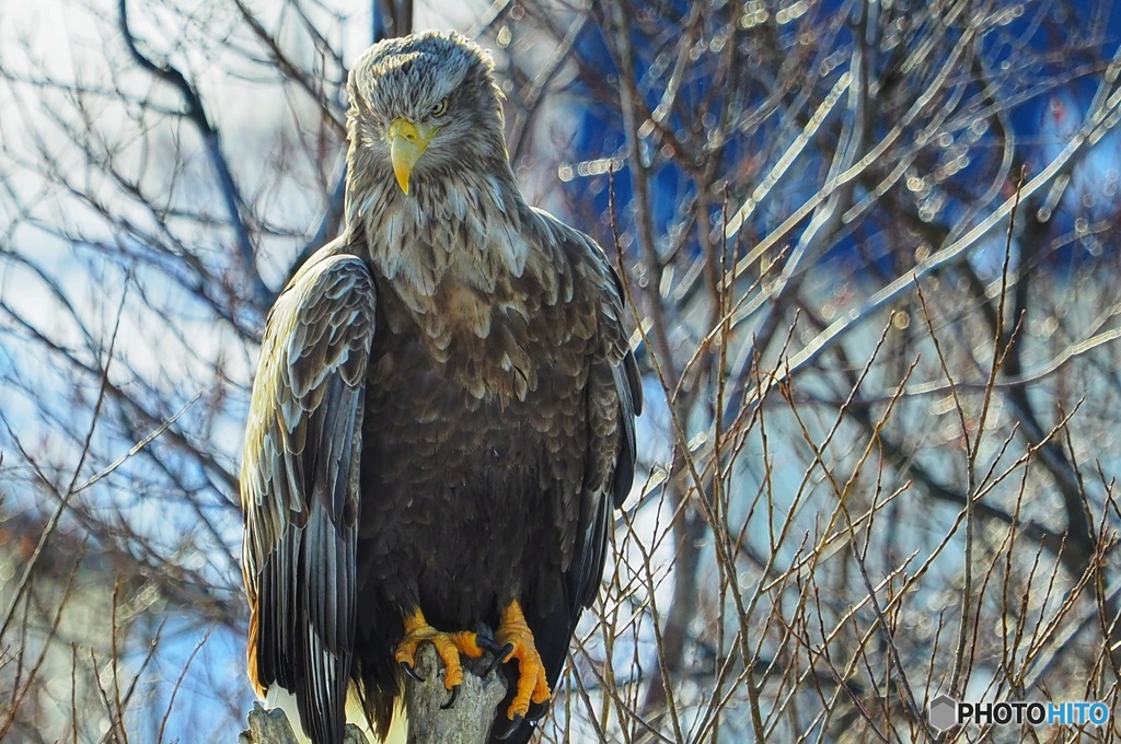 俺を撮ってくれと言わんばかりに目の前にやって来た。