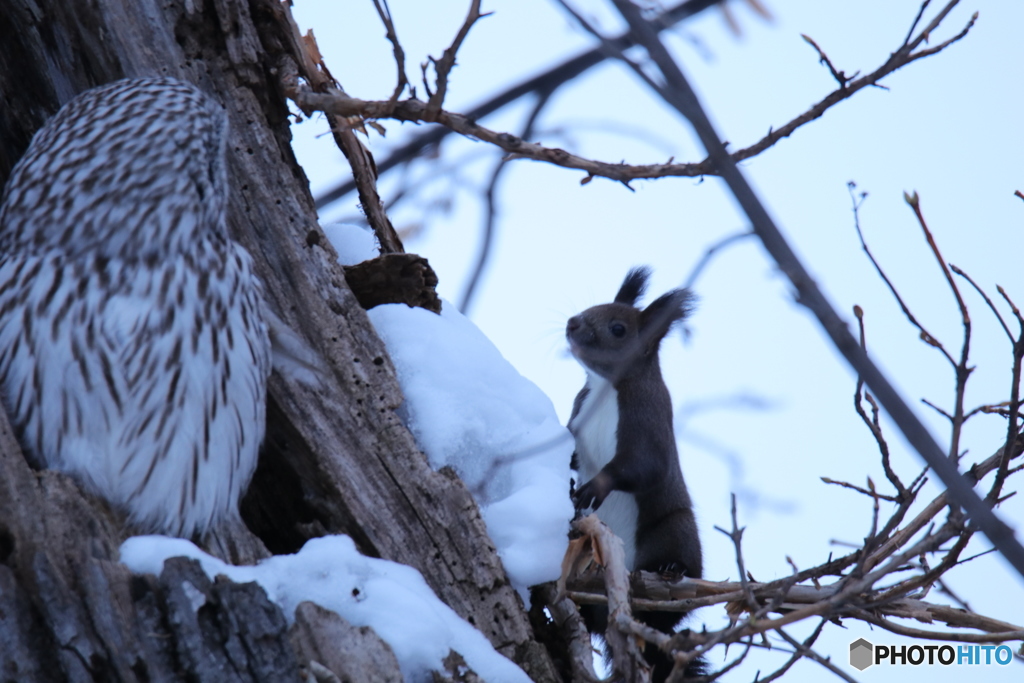 おじちゃん おはよう❗(笑)