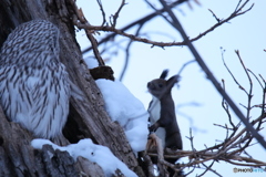 おじちゃん おはよう❗(笑)