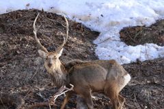 ヤバい❗眉毛ある
