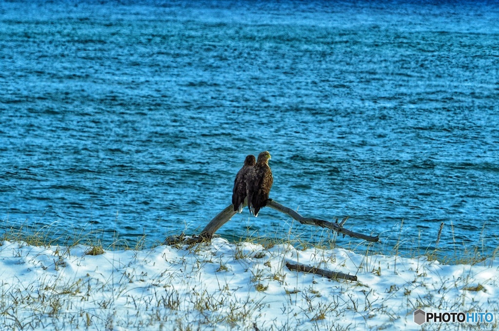 カップル いいね～