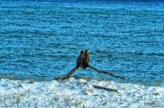 カップル いいね～