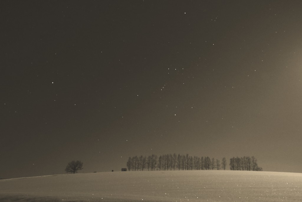 北海道 冬がメイン！