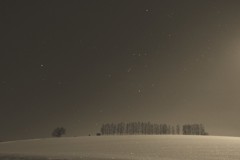 北海道 冬がメイン！