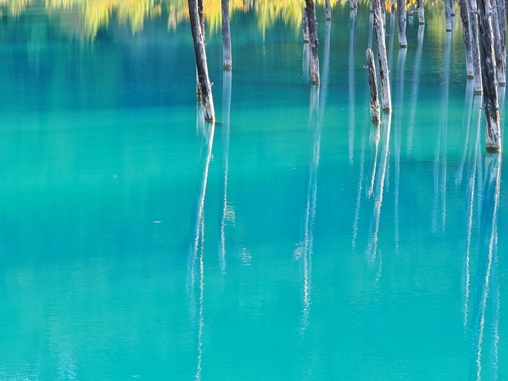 青い池