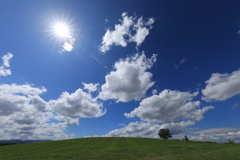 秋が待ち遠しい