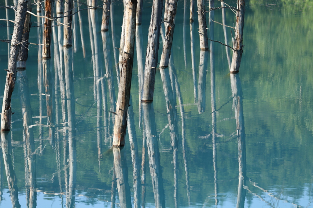 今年も撮りまくるぞ！