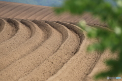 初夏美瑛到来❗