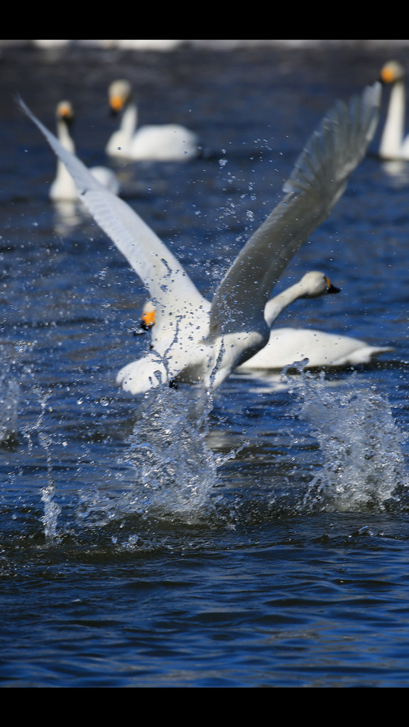 バーナー全開いや水しぶき全開！