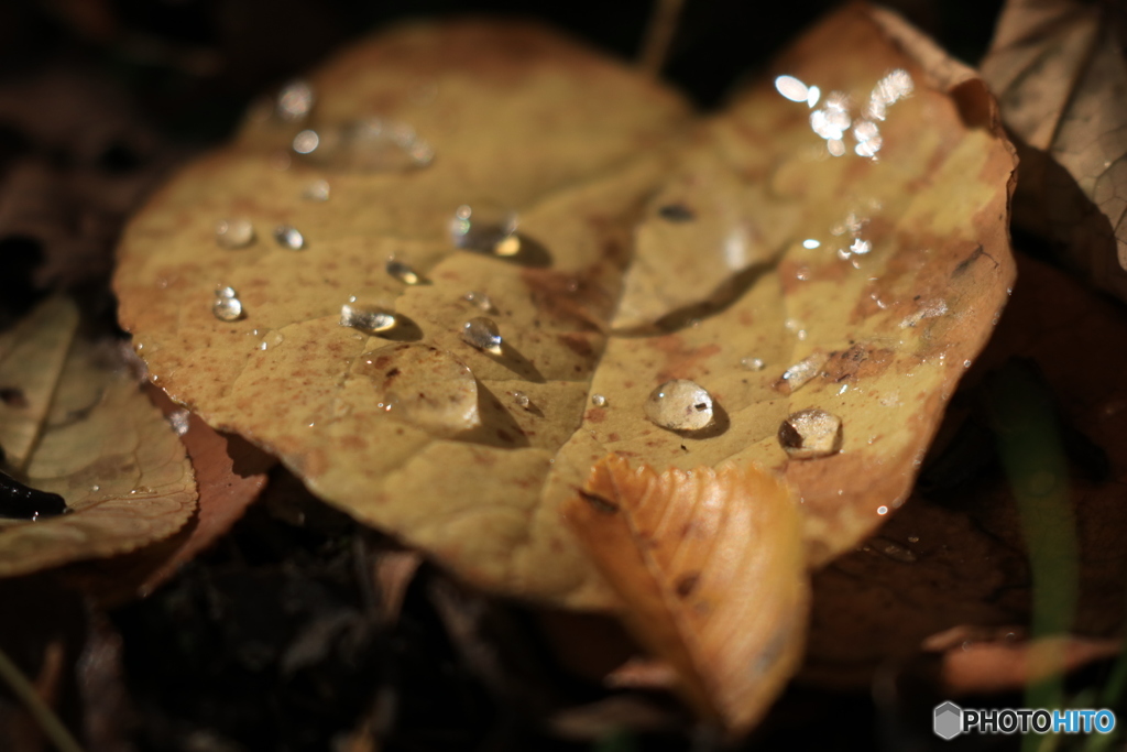 20161018035530_IMG_8426