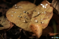 20161018035530_IMG_8426