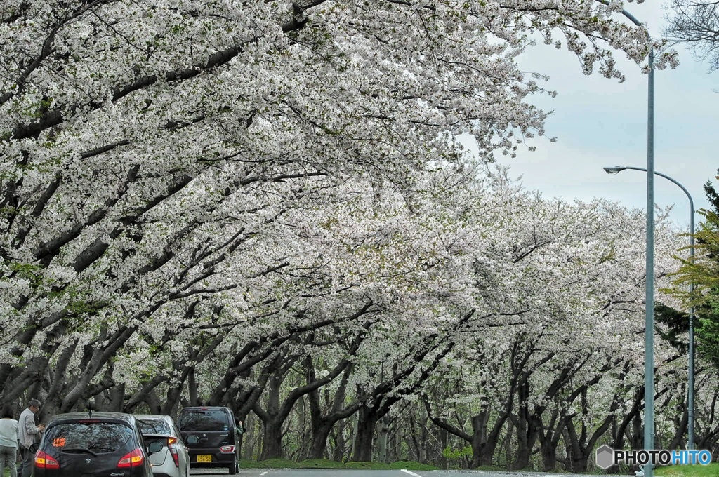 厚田 戸田記念公園