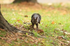 春まで生き残れるか 強いものだけが生き残れる野生の世界