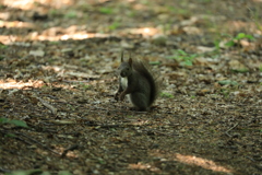 ニューフェイス君達！