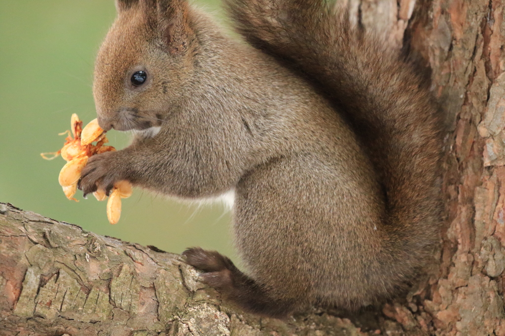 食べずらいな～