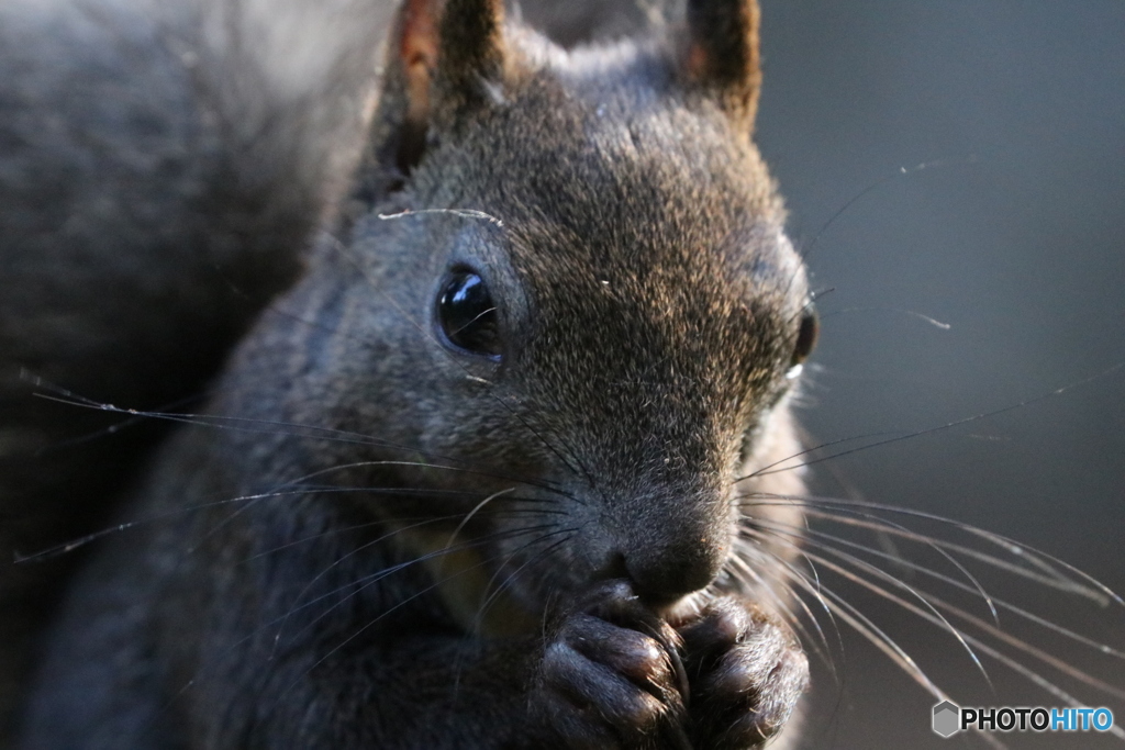 ど、アップで❗