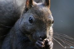 ど、アップで❗