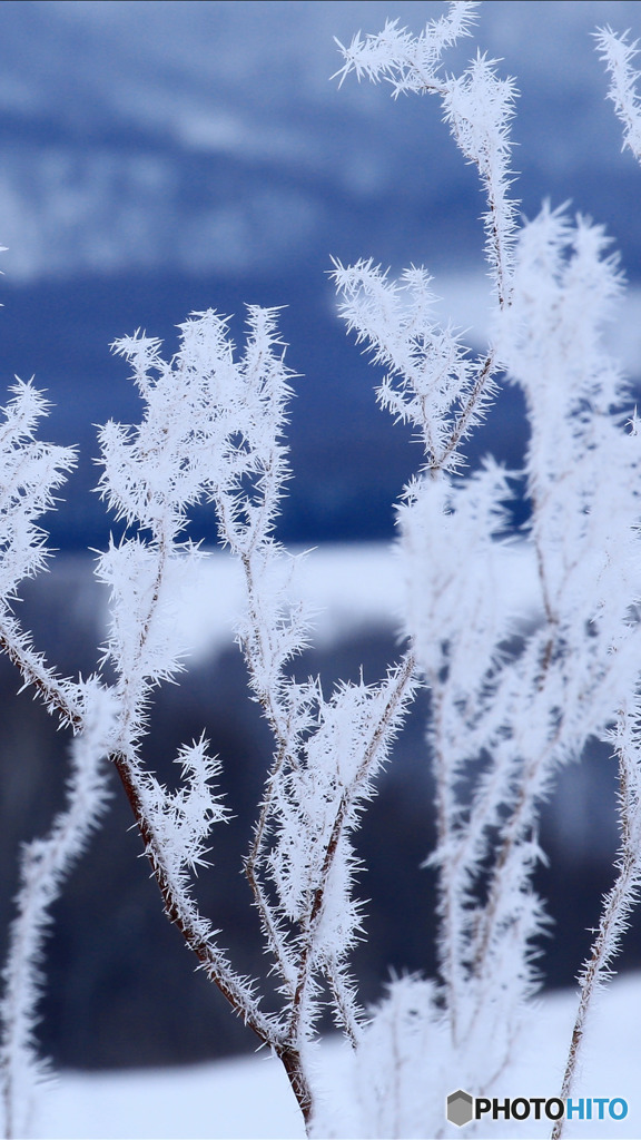 Screenshot_20170212-201927