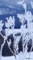 Screenshot_20170212-201927