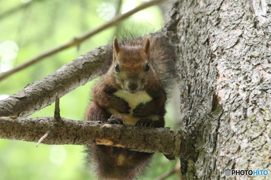 20160920230843_IMG_7353