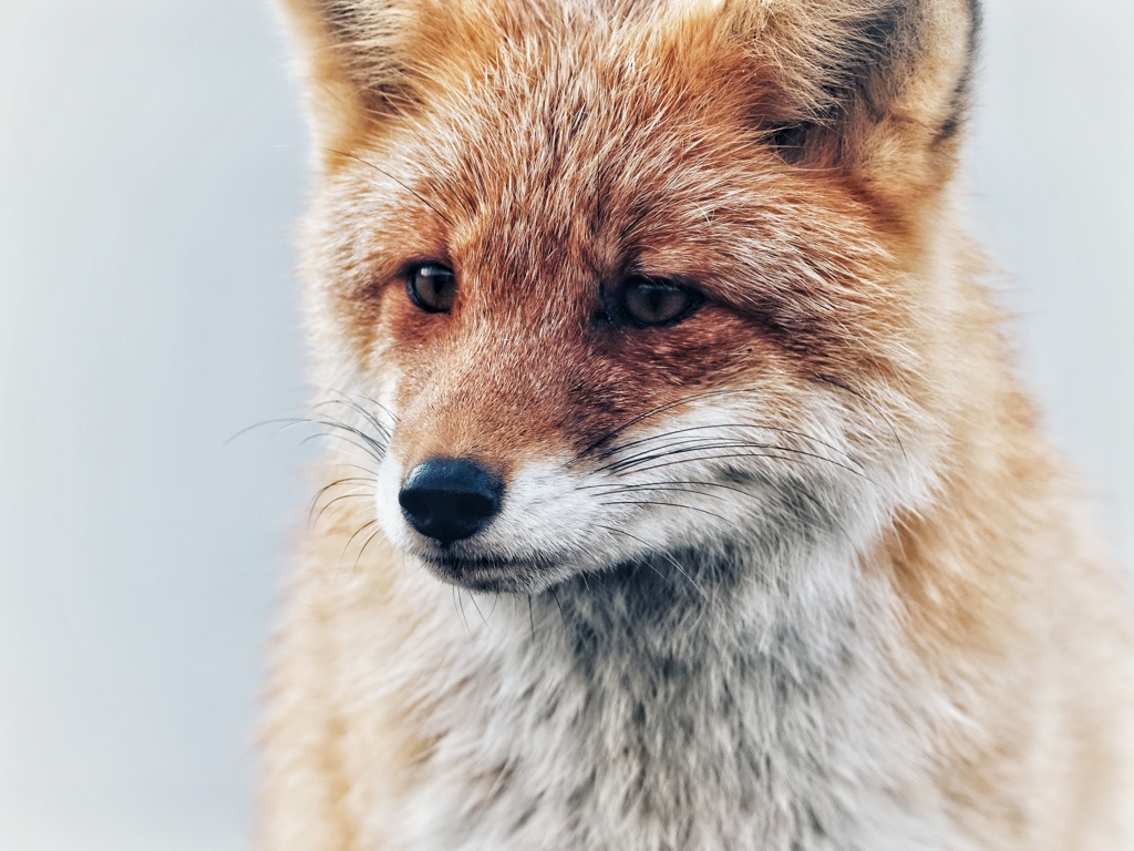 大きくなったね