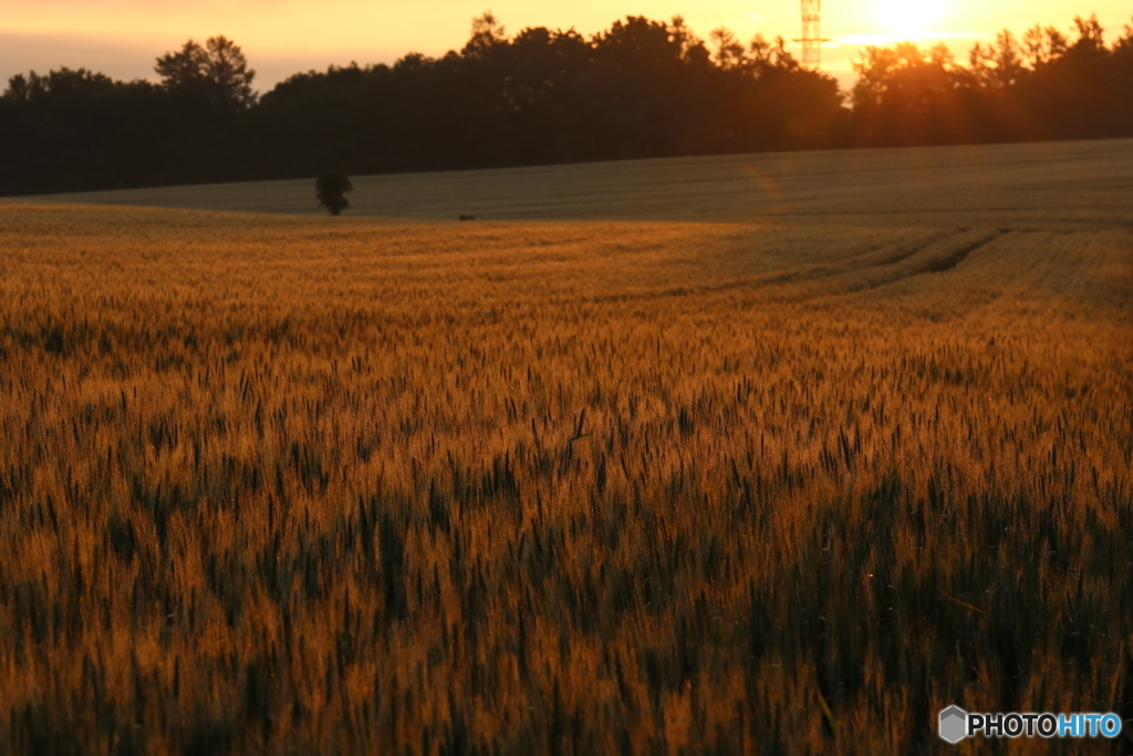 20160713041928_IMG_1549