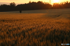 20160713041928_IMG_1549