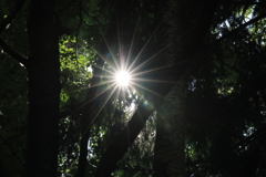 夏の太陽いいね。