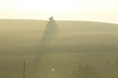 ここも好きです。