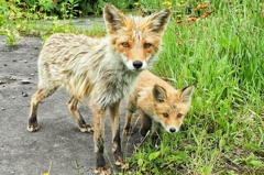 お母さんと一緒