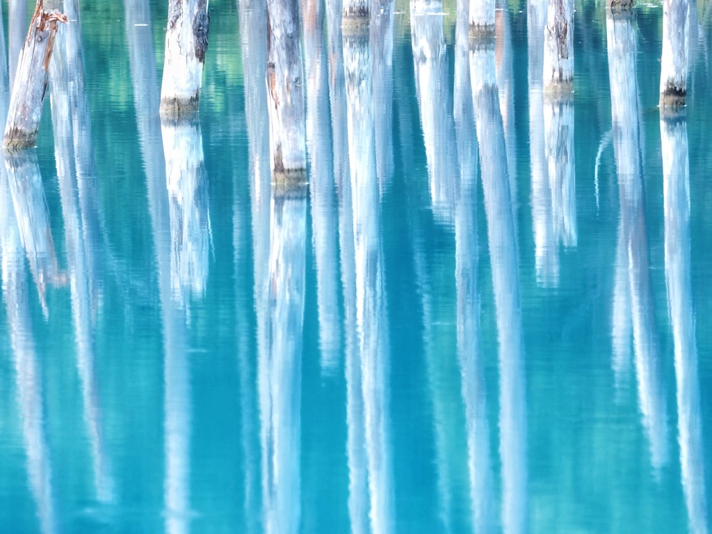 青い池