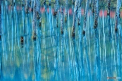 千葉県から来たおじさん さぶいね～とぼやいてました。