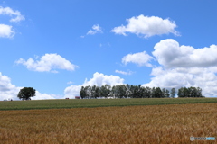 この場所がお気に入り❗