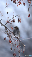 Screenshot_20170206-112242