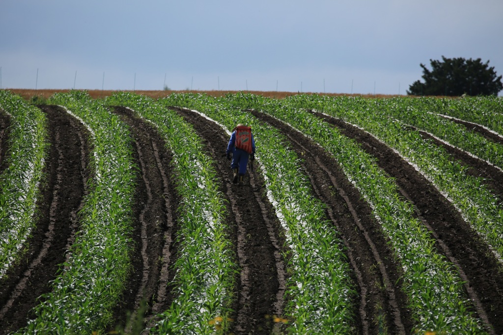 お疲れ様です。