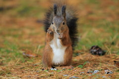 今年のナンバー2