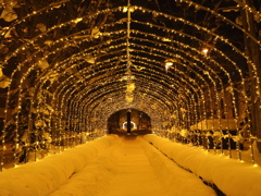 イルミネーション