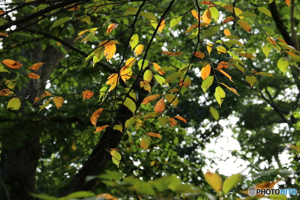 20160918001624_IMG_7209