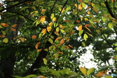 20160918001624_IMG_7209