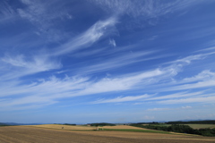 お決まり美瑛の丘！
