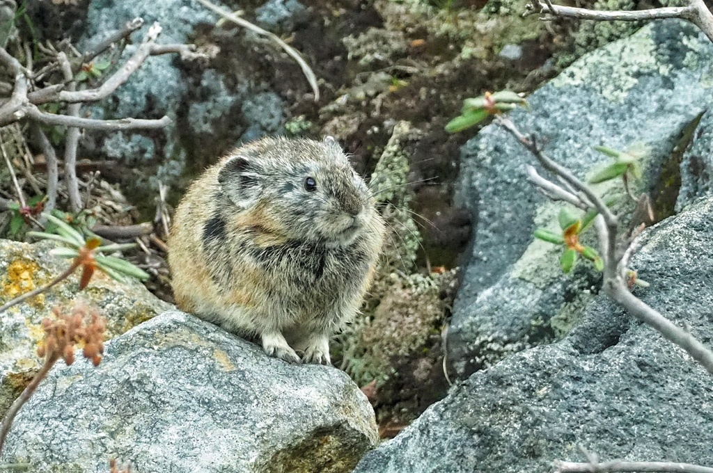 ナッキ～