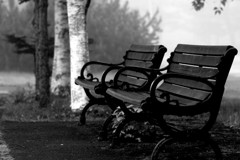 モノクロームベンチ