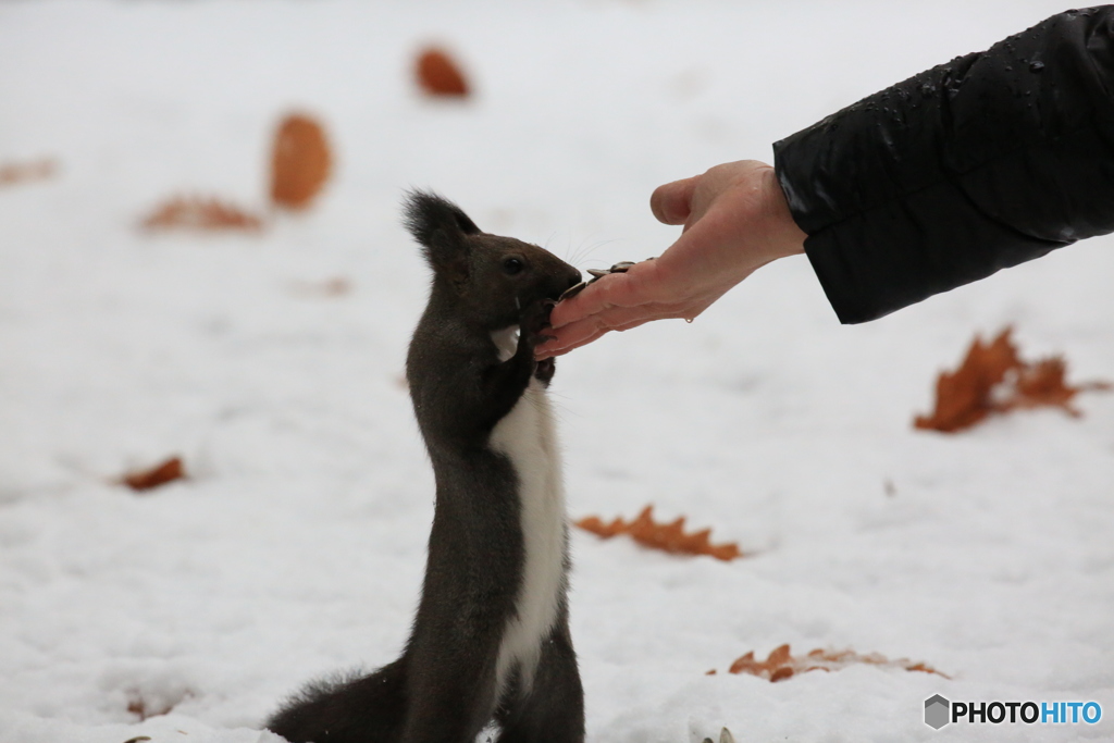 意地悪して手を高くしてます！(笑)