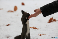 意地悪して手を高くしてます！(笑)